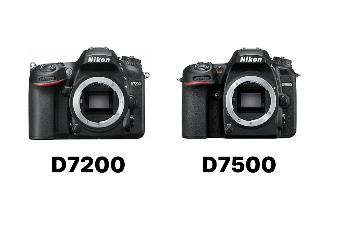 Nikon D7200とD7500を徹底比較！どっちを選ぶ？D7100との違いも早見表